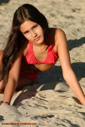 [Image: qnn9dvbq9629_t.jpg]